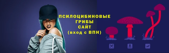 спиды Михайловка