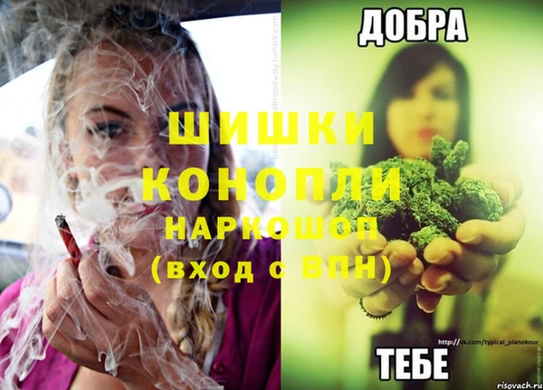 сатива Михайловск