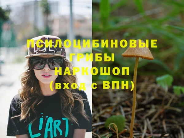 марки nbome Михайлов
