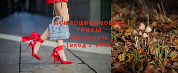 спиды Михайловка